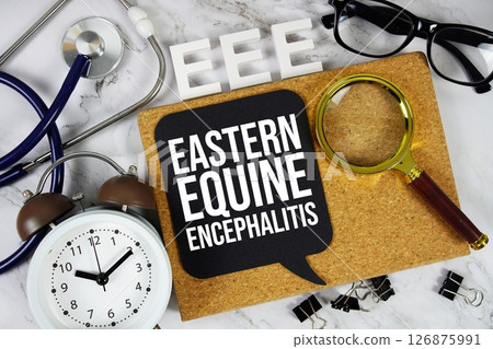 EEE Eastern Equine Encephalitis acronym with stethoscope, magnifying glass and alarm clock medical and healthcare concept background EEE Eastern Equine Encephalitis acronym with stethoscope, magnifying glass and alarm clock medical and healthcare concept background 126875991