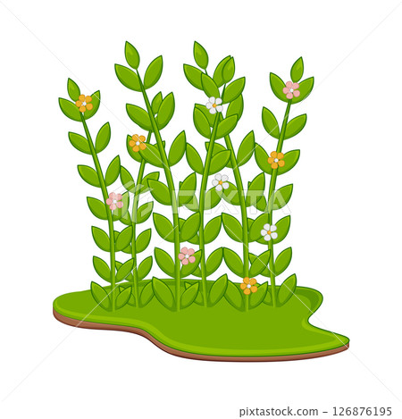 Grass Illustration Grass Illustration 126876195