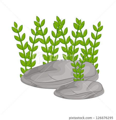Grass Illustration  126876295