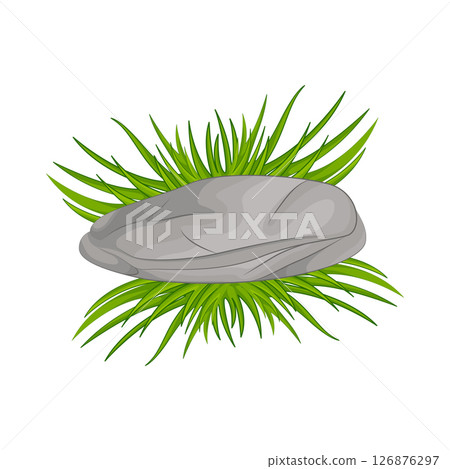 Grass Illustration Grass Illustration 126876297