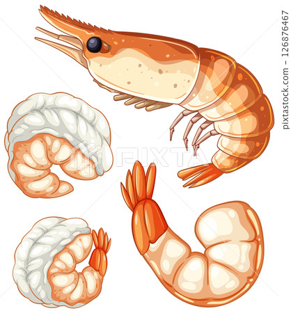 Detailed Vector Illustration of Shrimp and Prawns Detailed Vector Illustration of Shrimp and Prawns 126876467