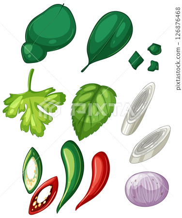 Colorful Herb and Spice Vector Illustration Colorful Herb and Spice Vector Illustration 126876468