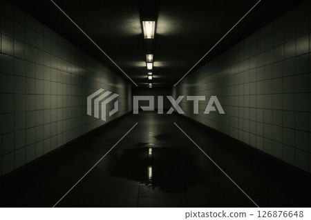 Dark Tunnel with Lights and Reflections 126876648