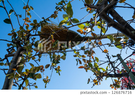 園丁的掃帚 園丁的掃帚 126876716