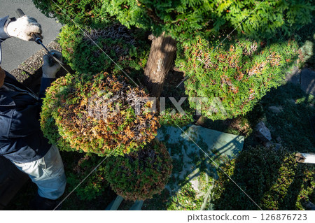 Gardener 126876723