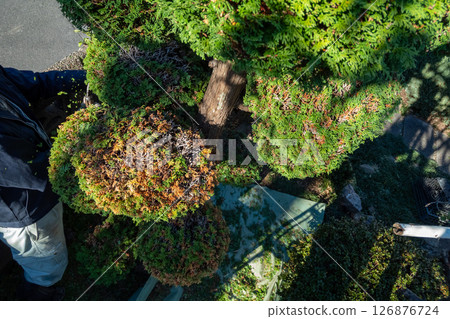 Gardener 126876724