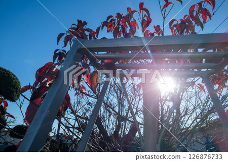 Gardening tripod 126876733