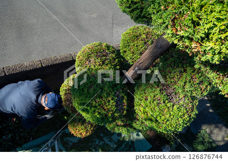 Gardener Gardener 126876744