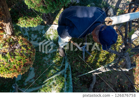 Gardener 126876758