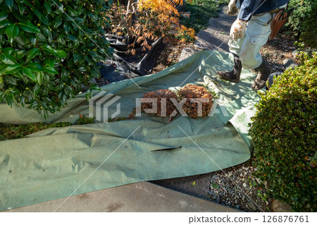 Gardener 126876761