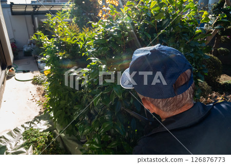 Gardener Gardener 126876773