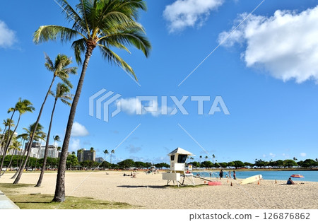 棕櫚樹成蔭的海灘 126876862