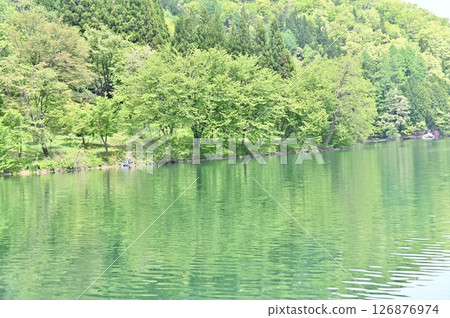 The lush green Lake Nakatsuna in early summer 126876974
