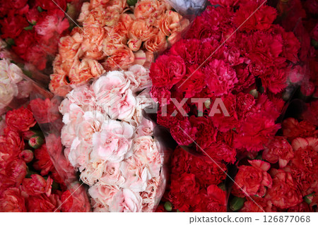 Colorful flowers lined up at a flower shop 126877068