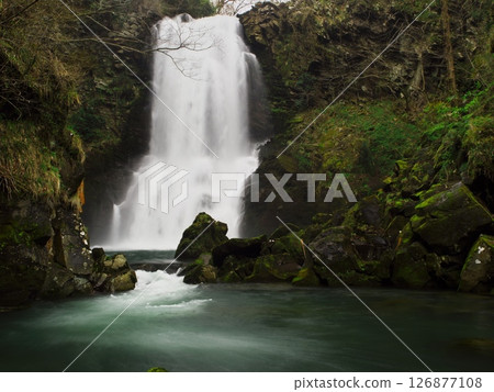 Spring in Akita Prefecture: Naso no Shirataki Falls in the grounds of Kinpu Shrine Spring in Akita Prefecture: Naso no Shirataki Falls in the grounds of Kinpu Shrine 126877108
