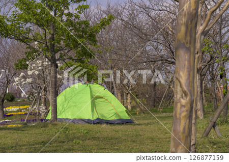 在公園搭個帳篷放鬆一下 在公園搭個帳篷放鬆一下 126877159