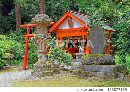 春日山神社（上越） 126877169