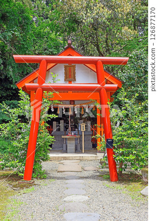 春日山神社（上越） 126877170