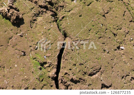 Dry and cracked ground Dry and cracked ground 126877235