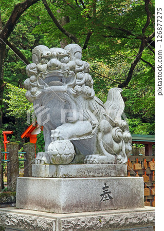春日山神社（上越） 126877275