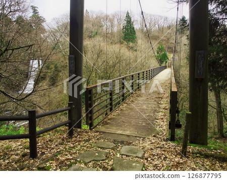 Spring in Akita Prefecture: View of Naso no Shirataki Falls from Negai Bridge in the grounds of Kinpu Shrine 126877795