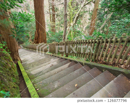 Spring in Akita Prefecture: Stone steps leading to Naso no Shirataki waterfall in the grounds of Kinpu Shrine 126877796