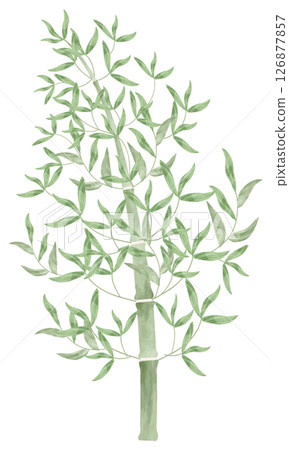 一個簡單的竹子插圖 一個簡單的竹子插圖 126877857