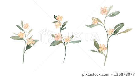 Watercolor set of pink flowers spots and green leaves. Hand drawn illustration buds on isolated white background. Soft pastel iridescent watercolors. Watercolor set of pink flowers spots and green leaves. Hand drawn illustration buds on isolated white background. Soft pastel iridescent watercolors. 126878077