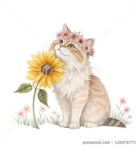 Cute cat wearing a crown of flowers clipart watercolor white background  Cute cat wearing a crown of flowers clipart watercolor white background  126878773