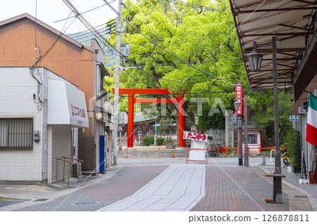 Nagata Shrine East Torii Nagata Shrine East Torii 126878811