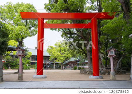 Nagata Shrine East Torii Nagata Shrine East Torii 126878815
