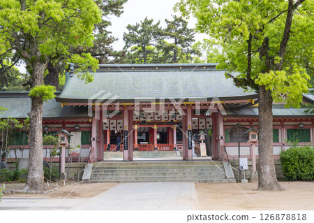 Nagata Shrine - The worship hall seen from the Shinmon gate 126878818