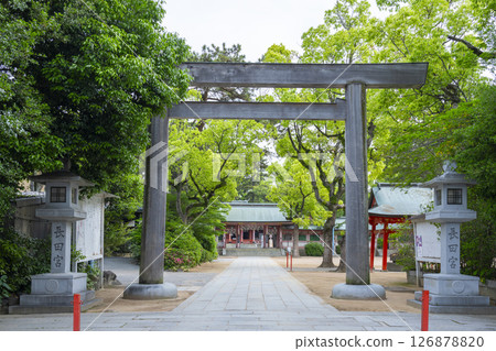 永田神社：從西鳥居看到的神社山門和拜殿 126878820