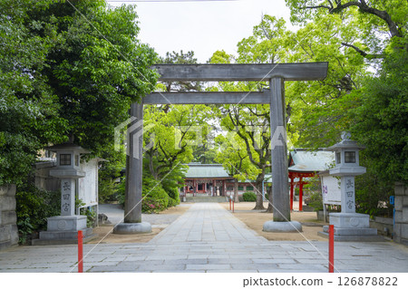 永田神社：從西鳥居看到的神社山門和拜殿 126878822