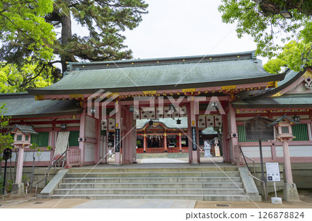 Nagata Shrine - The worship hall seen from the Shinmon gate Nagata Shrine - The worship hall seen from the Shinmon gate 126878824