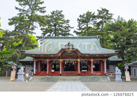 Nagata Shrine worship hall Nagata Shrine worship hall 126878825