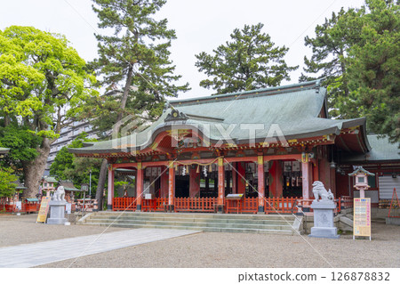 Nagata Shrine worship hall Nagata Shrine worship hall 126878832