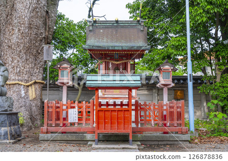 Nagata Shrine Izumo Shrine 126878836