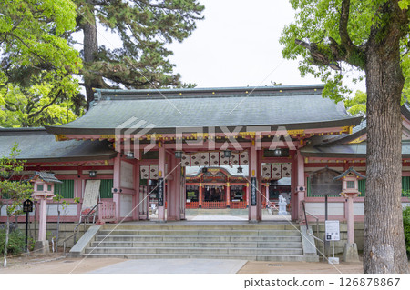 Nagata Shrine - The worship hall seen from the Shinmon gate Nagata Shrine - The worship hall seen from the Shinmon gate 126878867