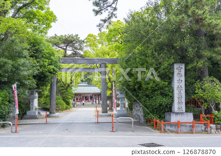 永田神社:從西鳥居看到的神社山門和拜殿 永田神社:從西鳥居看到的神社山門和拜殿 126878870