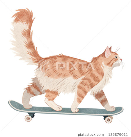 cat breeds in the world  Play all kinds of sports white background  126879011