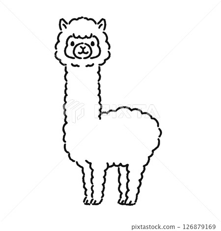 Cute alpaca line drawing Cute alpaca line drawing 126879169