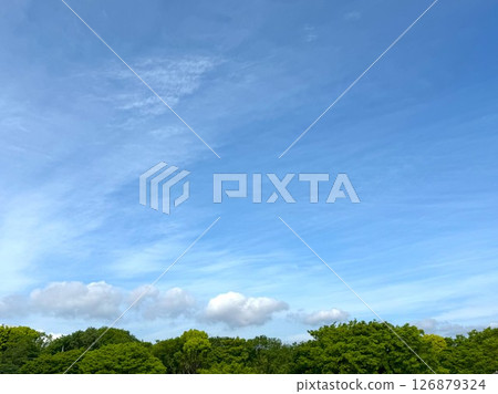 天空和太陽和雲彩 126879324