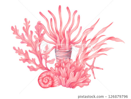 Composition of marine elements corals, seaweed and shells, starfish. Watercolor illustration. Underwater nature of the seabed. Hand drawn isolated art. Drawing for childrens design, travel, package. 126879796
