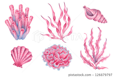 Collection of marine elements corals, seaweed and shells, sea plants. Watercolor illustration. Underwater nature of the seabed. Hand drawn isolated art. Clipart for childrens design, tourism, travel. 126879797