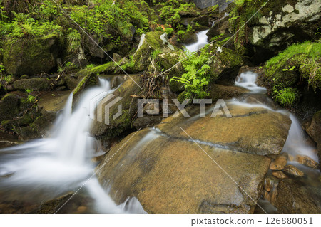 A mossy waterfall that stands out against the fresh greenery 126880051