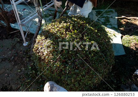 Gardener Gardener 126880253