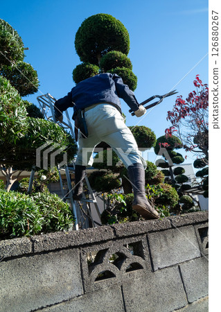 園丁 126880267