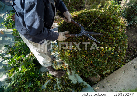 Gardener 126880277