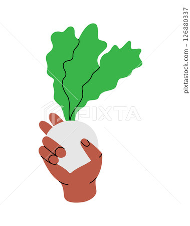 Hand holding a turnip. Healthy eating, vegan food and organic lifestyle concept. Vector illustration. 126880337